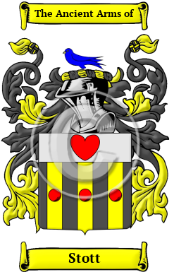 Stott Family Crest/Coat of Arms