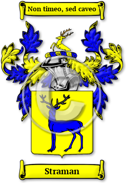 Straman Family Crest Download (jpg) Legacy Series - 150 DPI