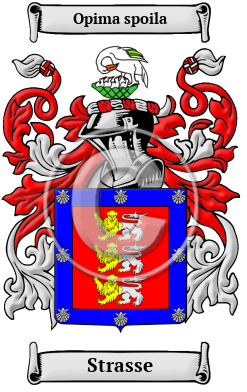 Strasse Family Crest/Coat of Arms