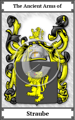 Straube Family Crest Download (JPG)  Book Plated - 150 DPI