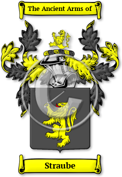 Straube Family Crest Download (jpg) Legacy Series - 150 DPI