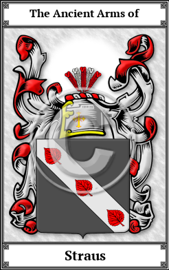 Straus Family Crest Download (JPG)  Book Plated - 150 DPI