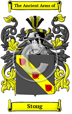 Stong Family Crest/Coat of Arms