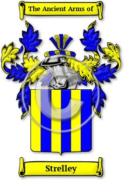 Strelley Family Crest Download (jpg) Legacy Series - 150 DPI