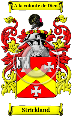 Strickland Family Crest/Coat of Arms