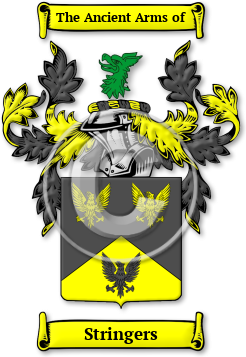 Stringers Family Crest Download (jpg) Legacy Series - 150 DPI
