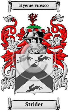 Strider Family Crest/Coat of Arms