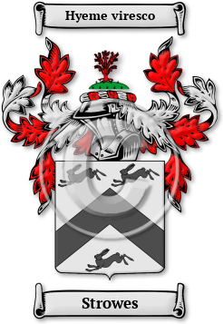 Strowes Family Crest Download (JPG) Legacy Series - 600 DPI