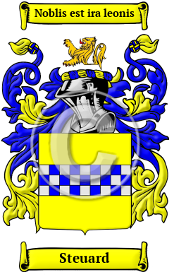 Steuard Family Crest/Coat of Arms
