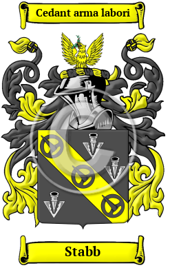 Stabb Family Crest/Coat of Arms