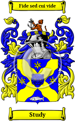 Study Name Meaning, Family History, Family Crest & Coats of Arms