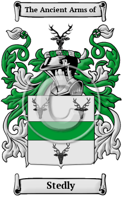 Stedly Family Crest/Coat of Arms