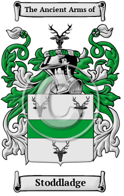 Stoddladge Family Crest/Coat of Arms