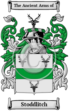 Stoddlitch Family Crest/Coat of Arms