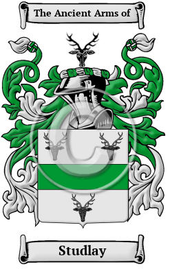 Studlay Family Crest/Coat of Arms