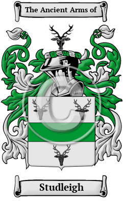 Studleigh Family Crest/Coat of Arms