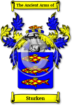 Sturken Family Crest Download (jpg) Legacy Series - 150 DPI