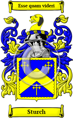 Sturch Family Crest Download (JPG) Heritage Series - 300 DPI