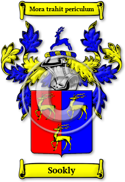 Sookly Family Crest Download (jpg) Legacy Series - 150 DPI