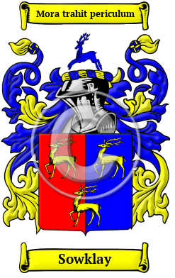 Sowklay Family Crest/Coat of Arms