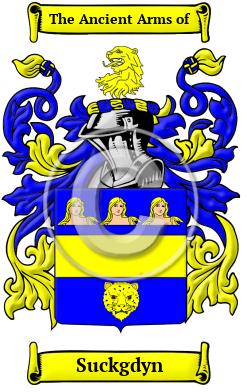 Suckgdyn Family Crest/Coat of Arms