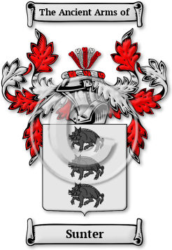 Sunter Family Crest Download (jpg) Legacy Series - 150 DPI