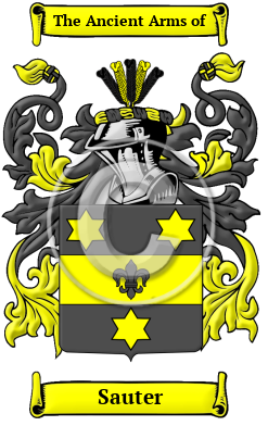 Sauter Family Crest/Coat of Arms