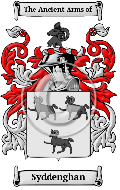 Syddenghan Family Crest/Coat of Arms