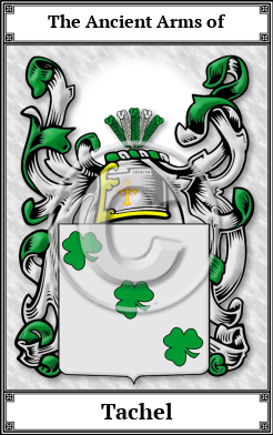 Tachel Family Crest Download (JPG) Book Plated - 600 DPI
