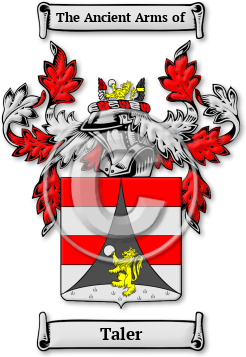 Taler Family Crest Download (jpg) Legacy Series - 150 DPI