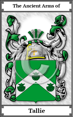 Tallie Family Crest Download (JPG)  Book Plated - 150 DPI