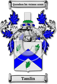 Tamlin Family Crest Download (JPG) Legacy Series - 600 DPI