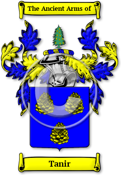 Tanir Family Crest Download (jpg) Legacy Series - 150 DPI