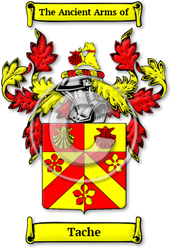 Tache Family Crest Download (JPG) Legacy Series - 300 DPI