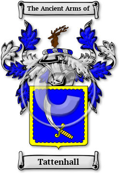Tattenhall Family Crest Download (jpg) Legacy Series - 150 DPI