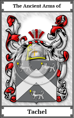 Tachel Family Crest Download (JPG) Book Plated - 600 DPI