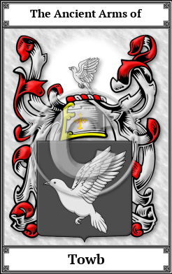 Towb Family Crest Download (JPG)  Book Plated - 150 DPI