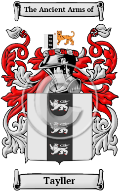 Tayller Family Crest/Coat of Arms