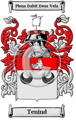 Tenind Family Crest/Coat of Arms