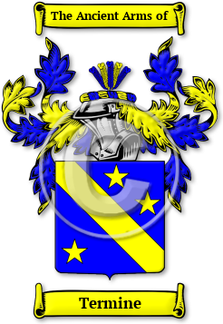 Termine Family Crest Download (jpg) Legacy Series - 150 DPI