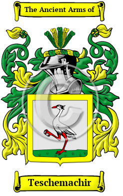 Teschemachir Family Crest/Coat of Arms