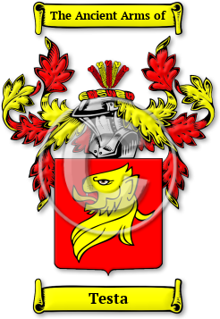 Testa Family Crest Download (JPG) Legacy Series - 600 DPI