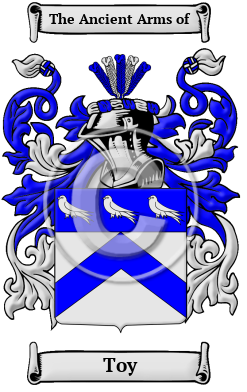 Toy Family Crest/Coat of Arms