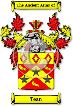 Tean Family Crest Download (jpg) Legacy Series - 150 DPI