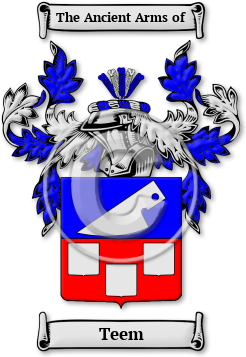 Teem Family Crest Download (jpg) Legacy Series - 150 DPI