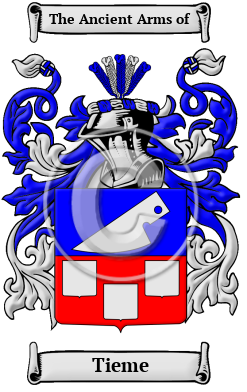 Tieme Family Crest/Coat of Arms