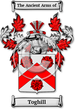 Toghill Family Crest Download (JPG) Legacy Series - 600 DPI