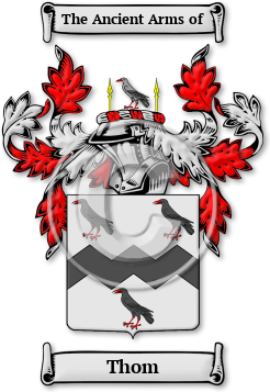 Thom Family Crest Download (jpg) Legacy Series - 150 DPI