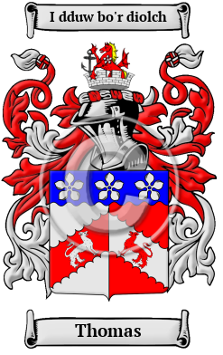 Thomas Family Crest/Coat of Arms