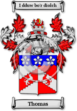 Thomas Family Crest Download (jpg) Legacy Series - 150 DPI